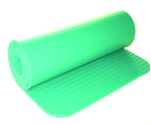 Gymnastic Mat Studio 1830x600x10mm 