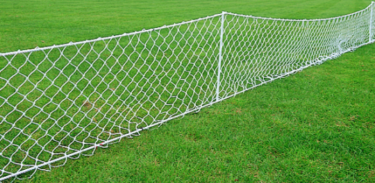Net for throwing sector 